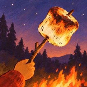A toasted marshmallow on a stick above a campfire beneath a starry evening sky.