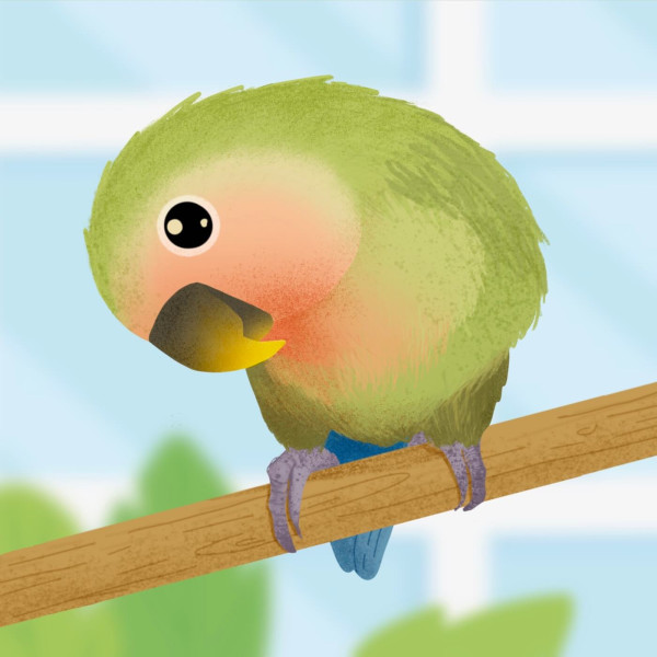 A green and orange lovebird sitting on a stick and tilting his head