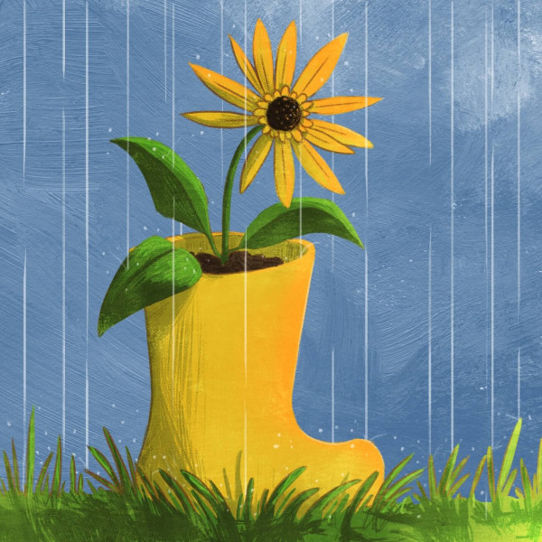 A gumboot full of soil and potted with a flower in the rain