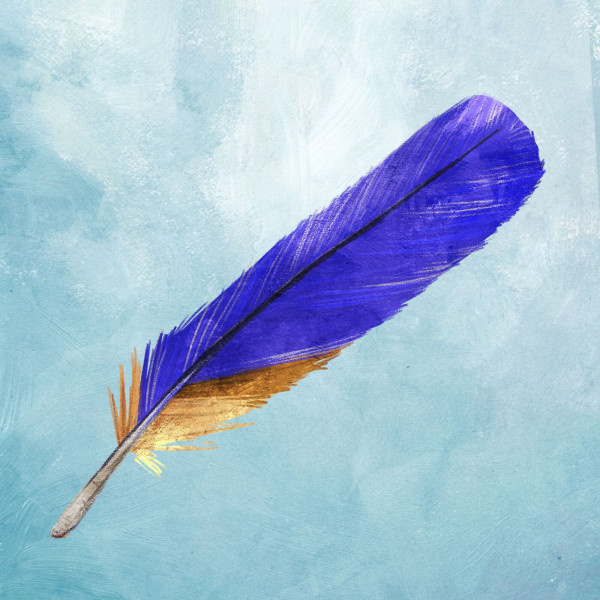 A blue bird feather
