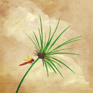 A dragonfly on a bulrush in the desert