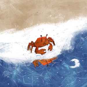 A crab walking on the beach at night