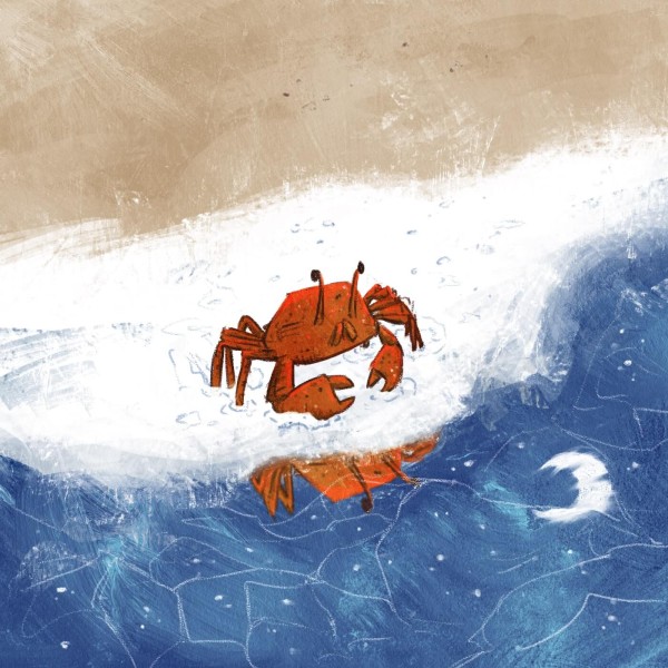 A crab walking on the beach at night