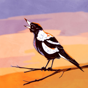 A magpie squawking in the morning sunrise