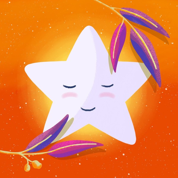 The sleepyheads star with gumtree leaves and gum nuts on an orange sunset background